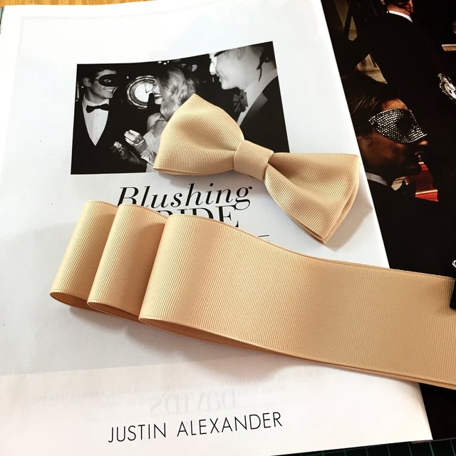 当季大流行 蝶ネクタイ&サッシュリボン セット - ウェディング