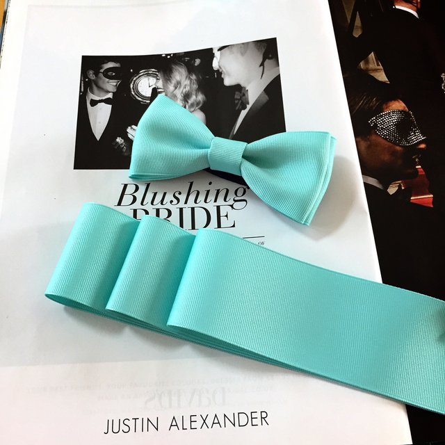 当季大流行 蝶ネクタイ&サッシュリボン セット - ウェディング