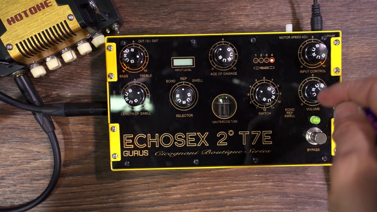 【期間限定送料無料】 Gurus 2° Echosex Amp - エフェクター