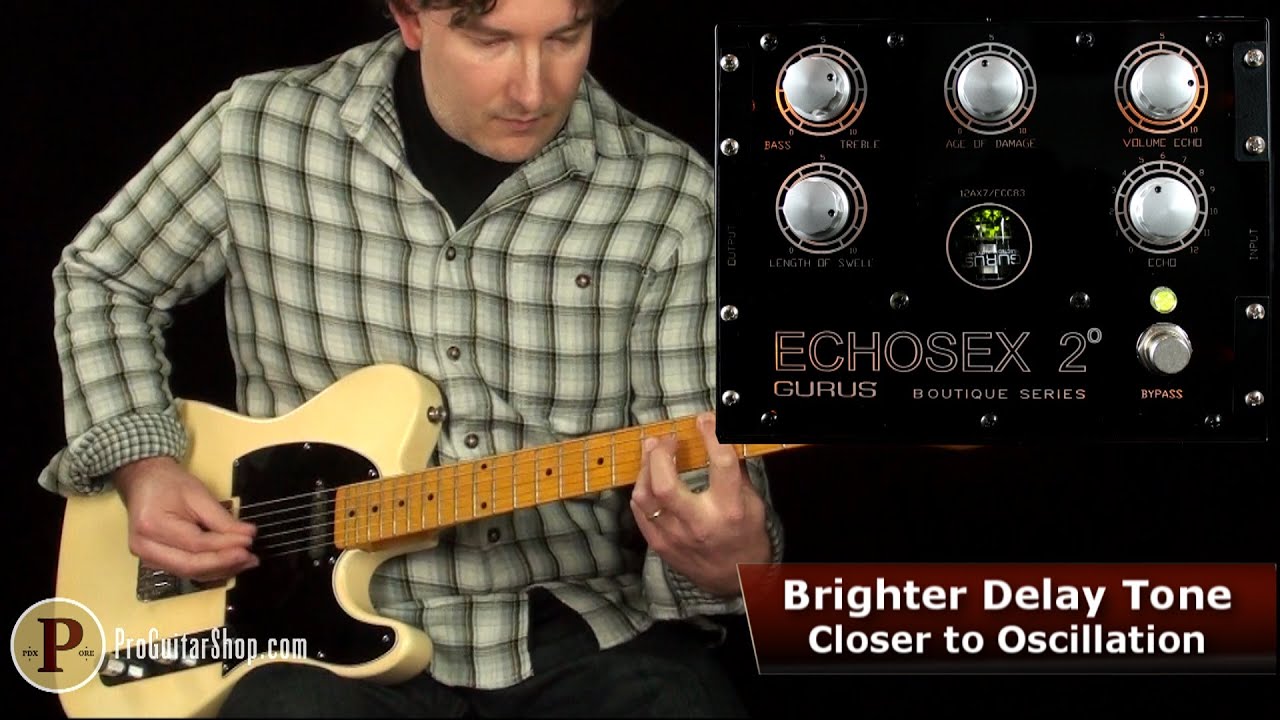 【期間限定送料無料】 Gurus 2° Echosex Amp - エフェクター
